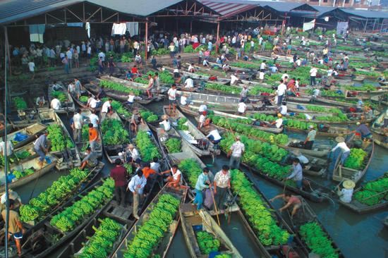 从农田到餐桌 麻涌香蕉上央视当主角_东莞频道