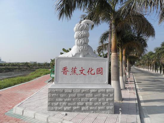 从农田到餐桌 麻涌香蕉上央视当主角_东莞频道