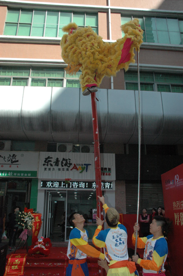 我市旅游再添新军 东莞青年旅行社东港城店开