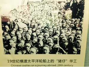 五邑华工背井离乡为生活所迫 开荒开出美国粮仓