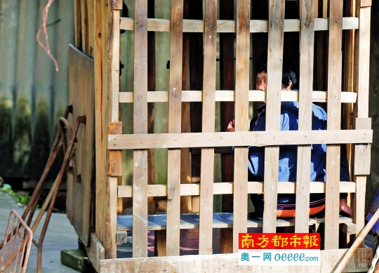 南海大沥上一村。白天丈夫去菜地务农时,妻子陈雪梅呆在笼子里。南都记者 张明术 摄