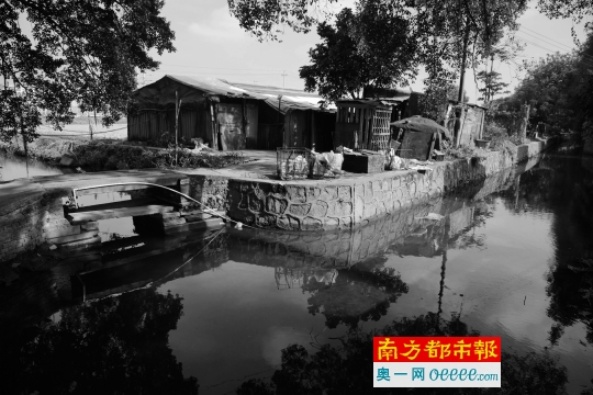 　　南海大沥上一村，黎金次和陈雪梅居住的菜地棚屋。昨日，陈雪梅已被送往医院治疗，黎金次已将木笼拆除。南都记者 张明术 摄