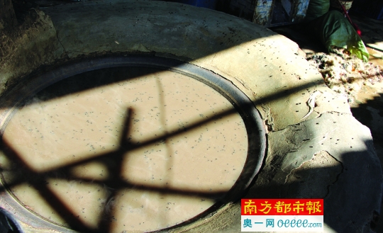 用来煮烫褪毛的铁锅里漂满了死苍蝇。南都记者 陈奕启 摄