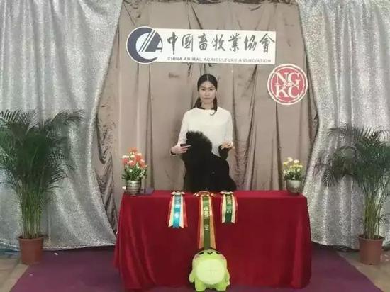 有宠利欣媚获宠物美容师资格鉴定赛冠军_惠州