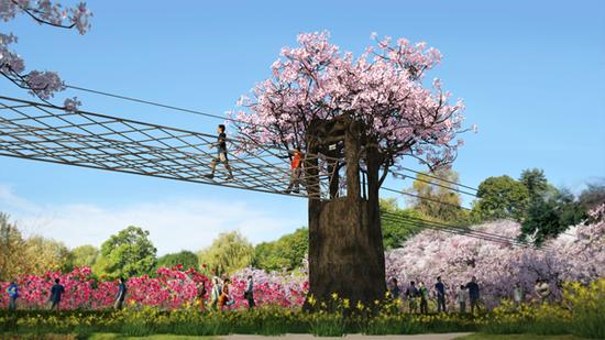 又是一年樱花烂漫时 春节从化赏樱预告与攻略