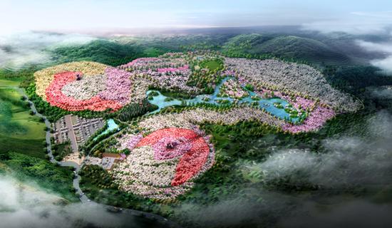 又是一年樱花烂漫时 春节从化赏樱预告与攻略