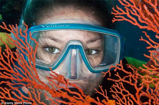 魅力出游澳大利亚大堡礁