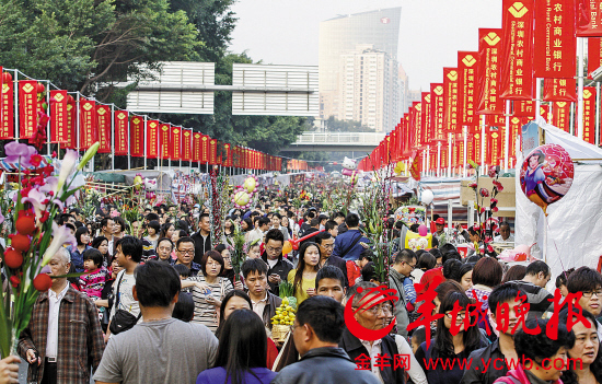 深圳市第33届迎春花市吸引了众多市民和游客。逛花市迎新年是岭南过春节的传统 新华社发（资料图片）