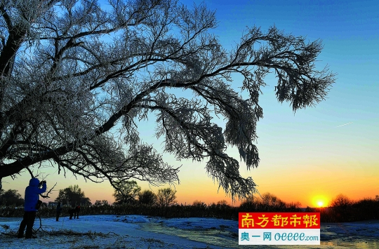 1月5日，一位摄影爱好者在吉林雾凇岛冰雪大世界内拍摄夕阳余晖下的雾凇。