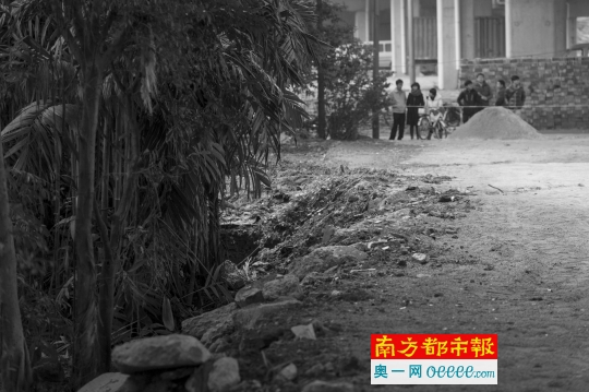 在韦涌村广明高速桥底，11岁女孩的尸体在土坡下的树丛中被发现。现场拉起了警戒线。 南都记者 梁炜培 摄