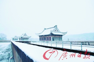 寒潮杀到 武汉：飞雪飘零 昨日，寒潮给武汉带来了降雪。网友江海丶For摄