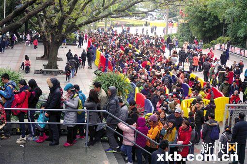 昨日,广州市民争相到白云山观雪,索道处排起长龙。新快报记者 夏世焱 摄