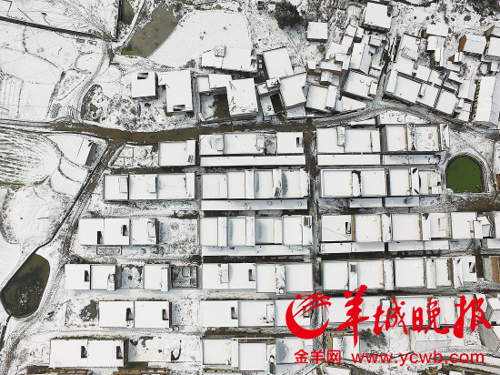 超级寒潮,冰封乳源 羊城晚报记者 林桂炎 摄