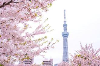 春节将现史上最大出国旅游潮 价格较去年有下