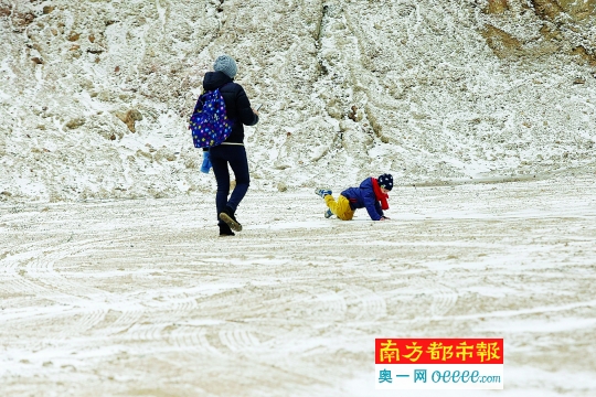 昨日，南岭国家森林公园，儿童在冰雪中摔倒。