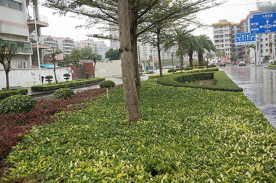 ����������·����·���е�խ