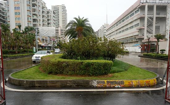 有市民反映：开发区海静路向隔离带太宽太占空间。