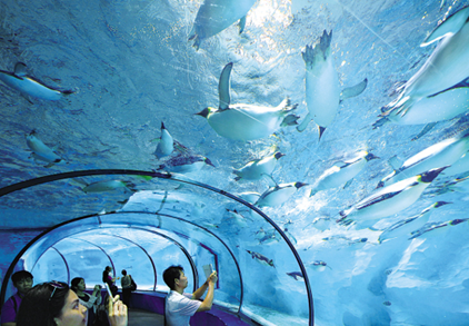 2016年惠州过春节去哪里玩 这些地方还不错_