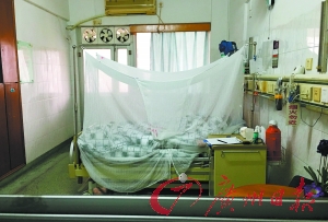 广州市第八人民医院，为防止广东首例输入性寨卡病毒病例在住院期间被蚊虫叮咬，医院特意在病床上加了蚊帐。广州日报记者乔军伟 摄