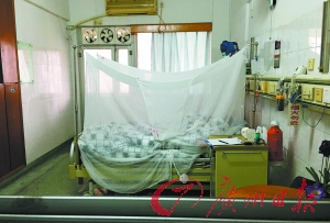 广州市第八人民医院,为防止广东首例输入性寨卡病毒病例在住院期间被蚊虫叮咬,医院特意在病床上加了蚊帐。广州日报记者乔军伟 摄