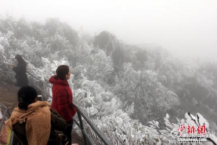 披棉被赏雪