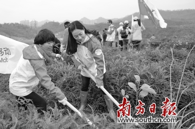 市民在植树节参加义务植树活动。南方日报记者 王昌辉 摄