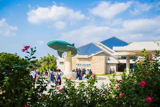 冲绳美丽海水族馆 探寻大海深处的奥秘