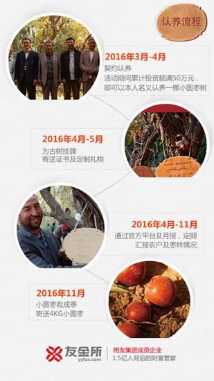 友金所携手新疆官方捐助古枣树 力推友金公益