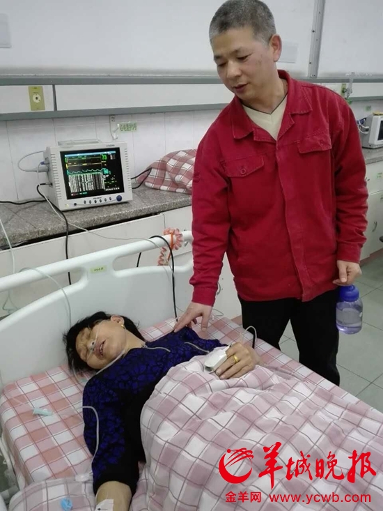 公交车司机罗师傅到医院探望老婆婆。