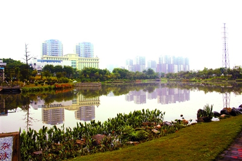 整治后的望岗涌排灌能力提升，两岸景观也得到美化。/三水区国土城建和水务局供图