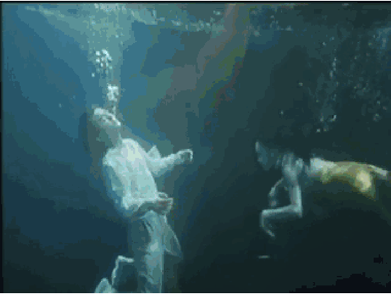 媲美明星毫不逊色 百条美人鱼上演绝美画面_新浪广东_新浪网