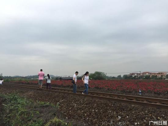 今日仍有不少市民在铁路上拍照