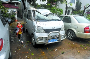 大树连根拔起压烂路边的小货车。广州日报记者何波摄