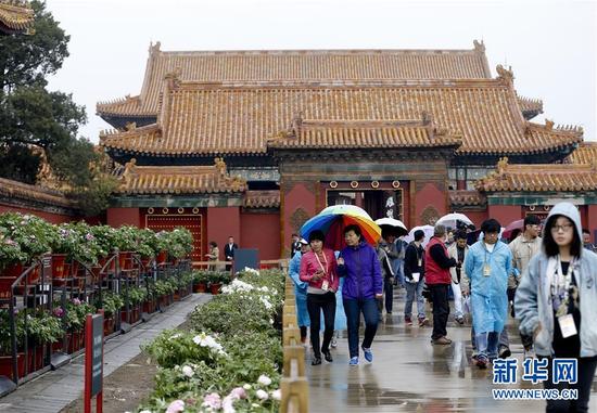 4月12日，游人在北京故宫观赏牡丹。