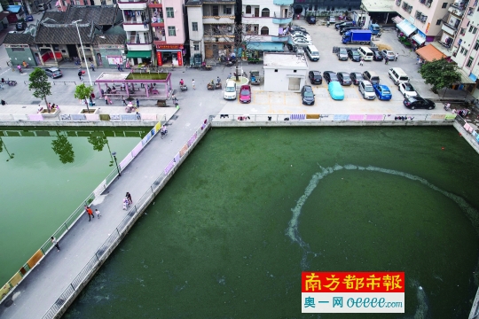 4月9日，在天河前进街宦溪社区，一个池塘注满污水而无法排出，雨天时臭气熏天。南都记者 黎湛均 摄