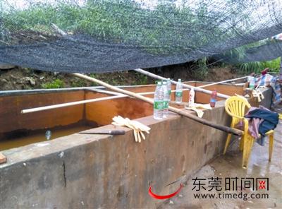 非法屠宰点非常简陋