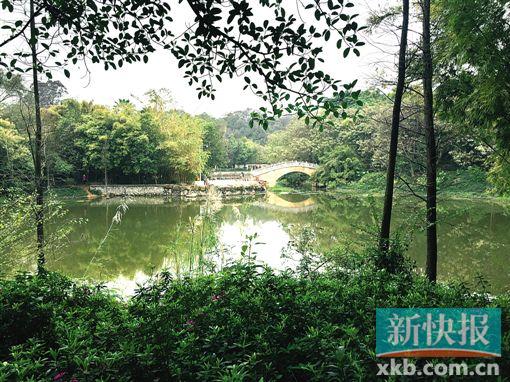 ■天河公园大部分区域均为原生态植被,市民夜间出入最好留个神。