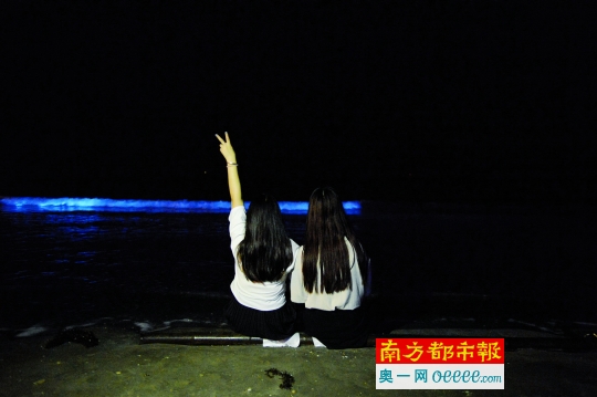  大量的夜光藻聚集发光让海水变蓝。
