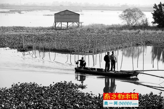 省十三五规划明确惠州定位:世界级石化产业基