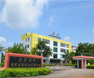 弘扬传统武术精髓 相约百家擂台武术对决_江门