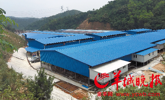 隐藏在山坳中的违规三鸟批发市场