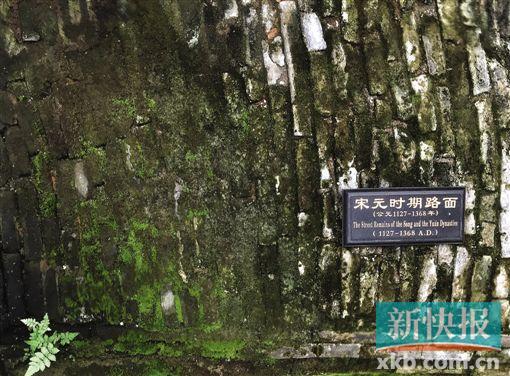 ■宋元时期路面的遗址被青苔覆盖，还发生不同程度的霉变。