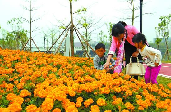 昨日，市民带着孩子在新建成的大良中心城区精品绿道游玩。记者张弘摄