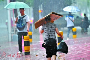 吉祥路，一名女子用纸皮遮雨。广州日报记者杨耀烨摄