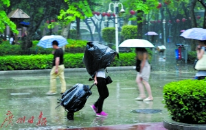 广州文化公园，行人用胶袋遮雨。广州日报记者邱伟荣摄