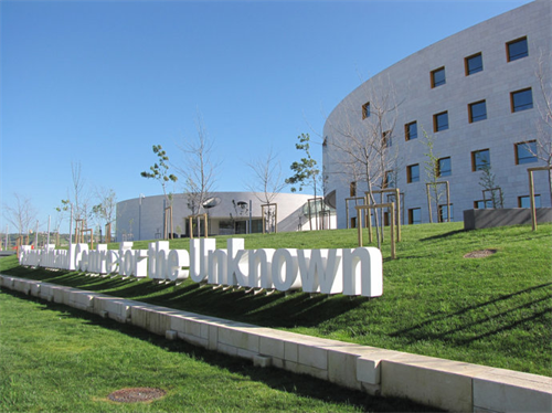 葡萄牙领先的免费医疗 让新移民点赞_湛江频道