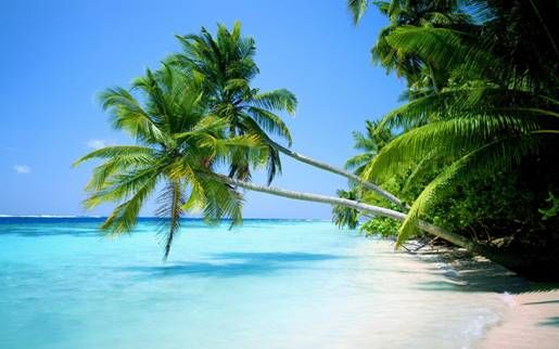 开春去哪里玩 最美的自驾路线推荐_深圳汽车网