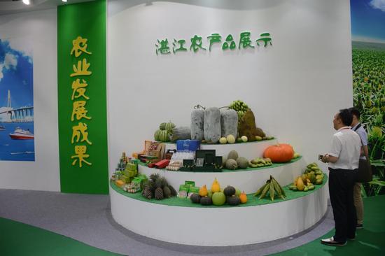 对接东盟 开放兴农 2016湛江东盟农博会盛大开