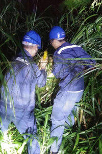 强风雷电威力巨大 佛山电网受创连夜抢修_佛山