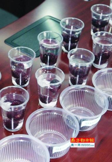 媒体鉴定广州市场杨梅 放盐水中泡出十几条虫